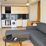 07 Group אלאניה