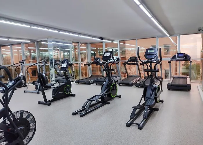 07 Group אלאניה